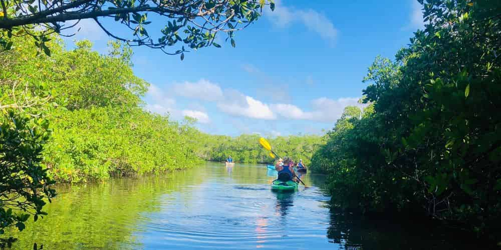 Kayaking SRQ Tours and Rentals