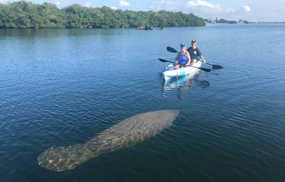 Guided-Kayak-Eco-Tour