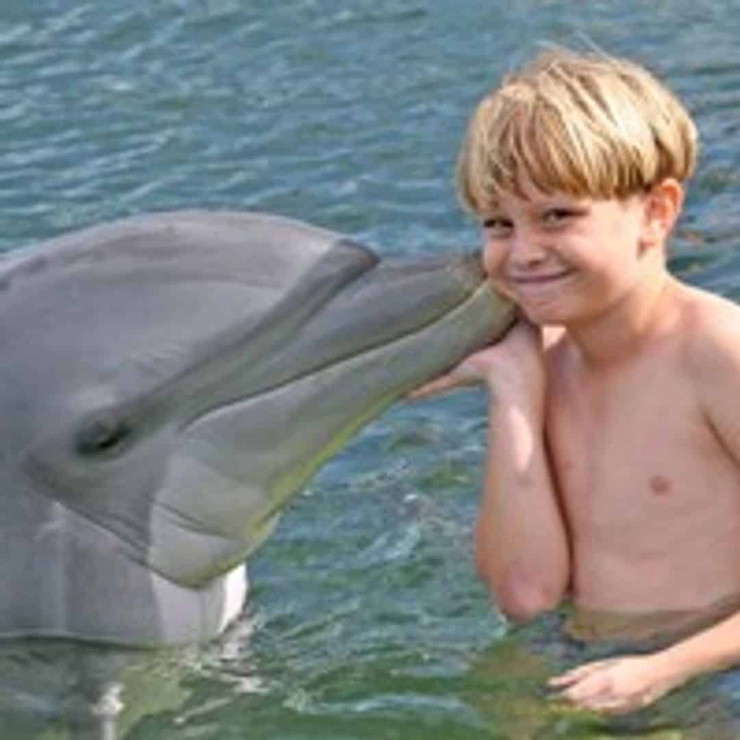 Swim with the Dolphins & Key West Getaway TripShock!