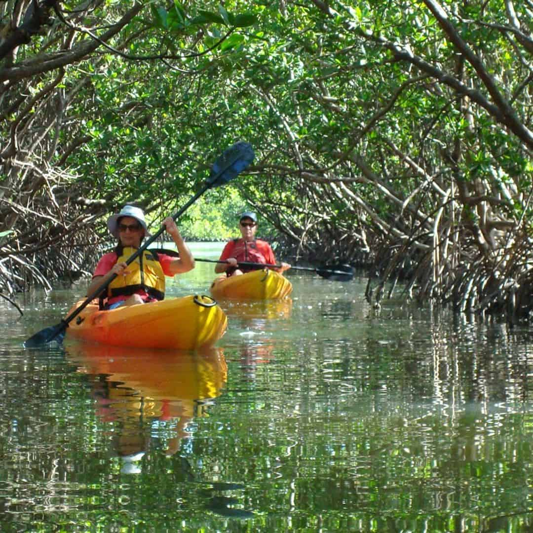 Top 5 Fort Myers Beach Eco Tours 2024 - TripShock!