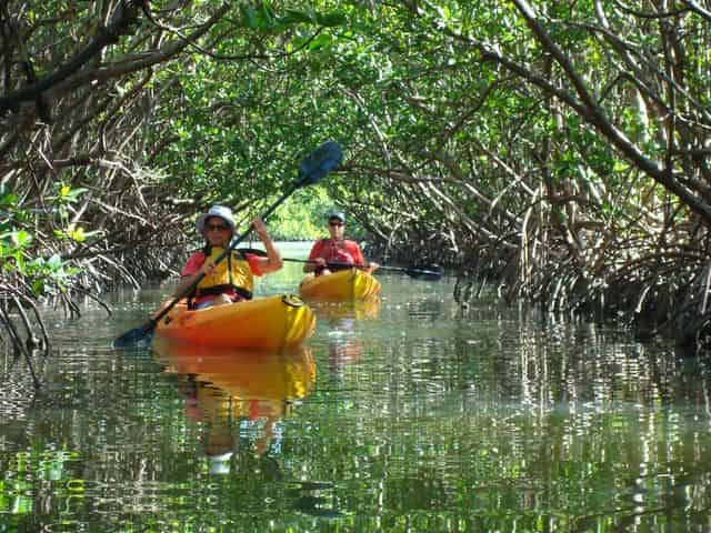 Fort Myers Beach Kayak Eco Tour