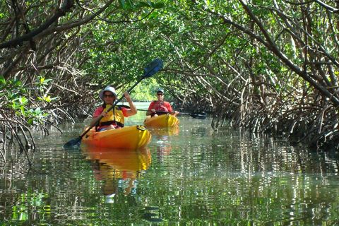 Fort Myers Beach Kayak Eco Tour