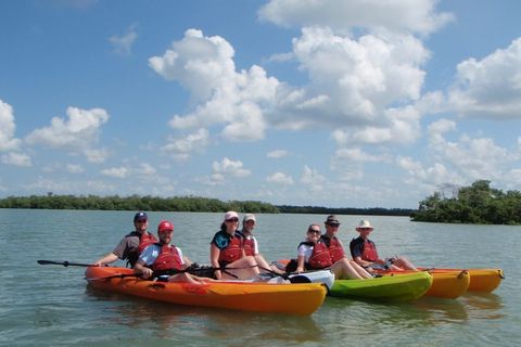 Full Day Kayak or SUP Rental in Pelican Bay