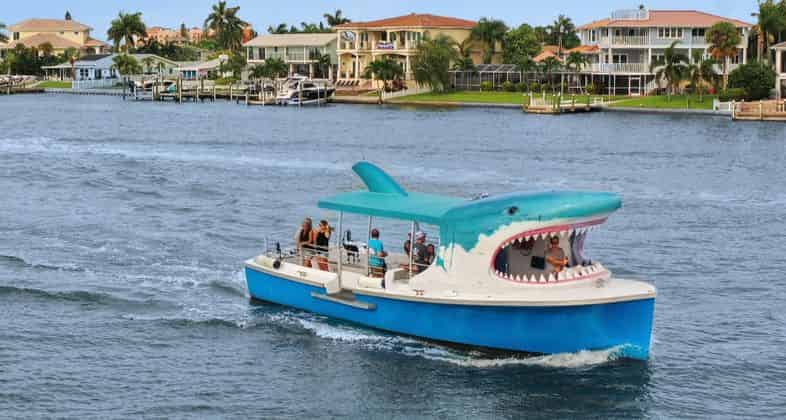 dolphin tours johns pass