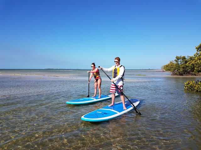 Fort Myers Beach Guided Paddle Tour
