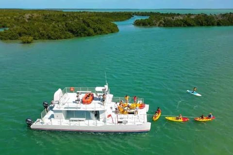 Key West: Ultimate Sandbar Adventure with Mangrove Kayak Eco Tour