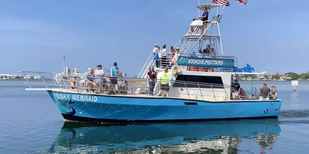 Frisky Mermaid Dolphin Tours & Pontoon Boat Rentals