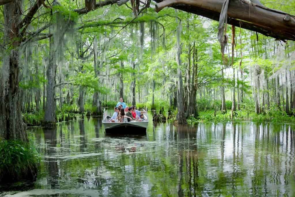 Pearl-River-Eco-Swamp-Tours