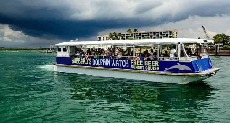 Dolphin-Watching-Nature-Cruise-and-Eco-Tour