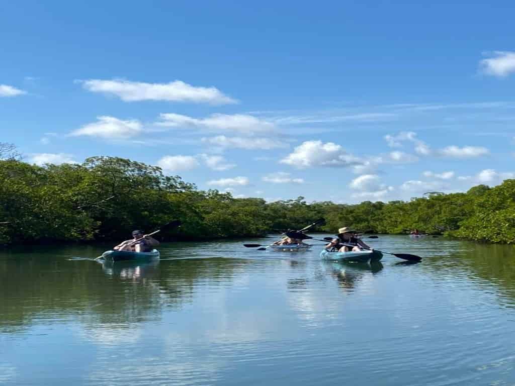 Island-Mangrove-Kayak-Tour