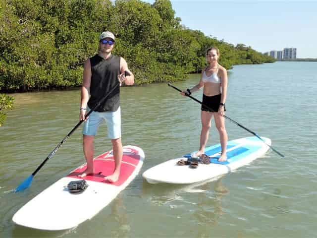 Island Mangrove Guided Paddleboard Eco Tour