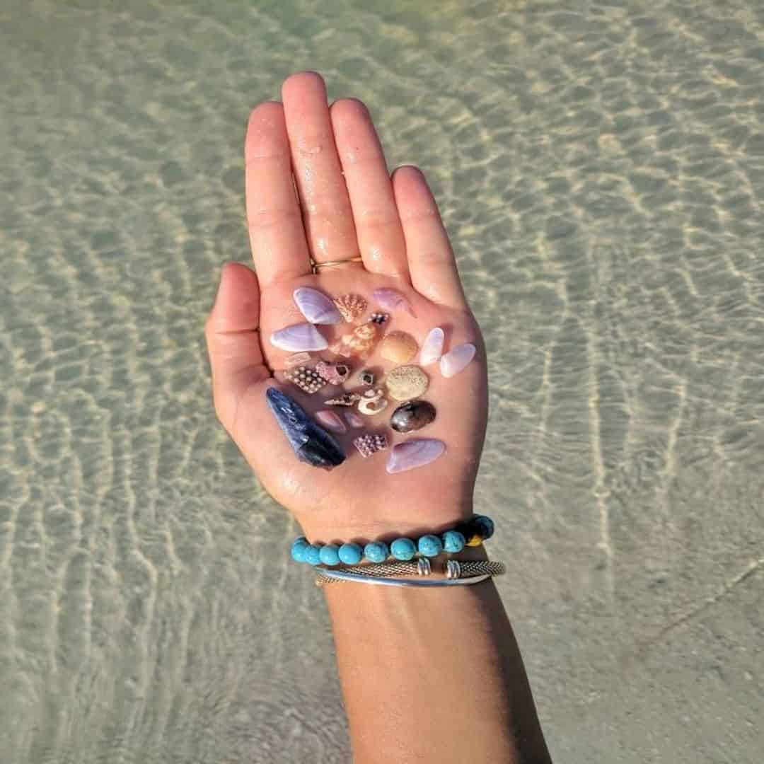 3 Hour Shell Key Shelling Trip TripShock!