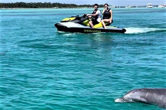 Gulfside-Jet-Ski-Dolphin-Tour