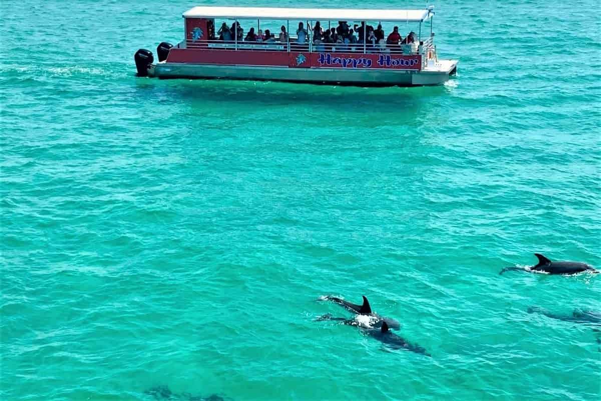 2-Hour-Pensacola-Beach-Dolphin-Cruise