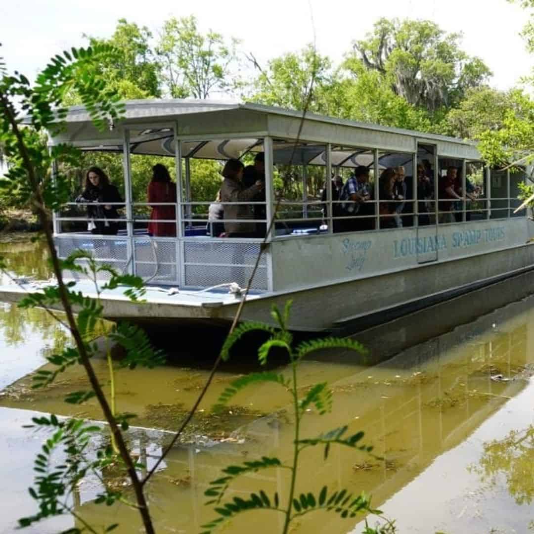 Barataria Swamp Tour TripShock!