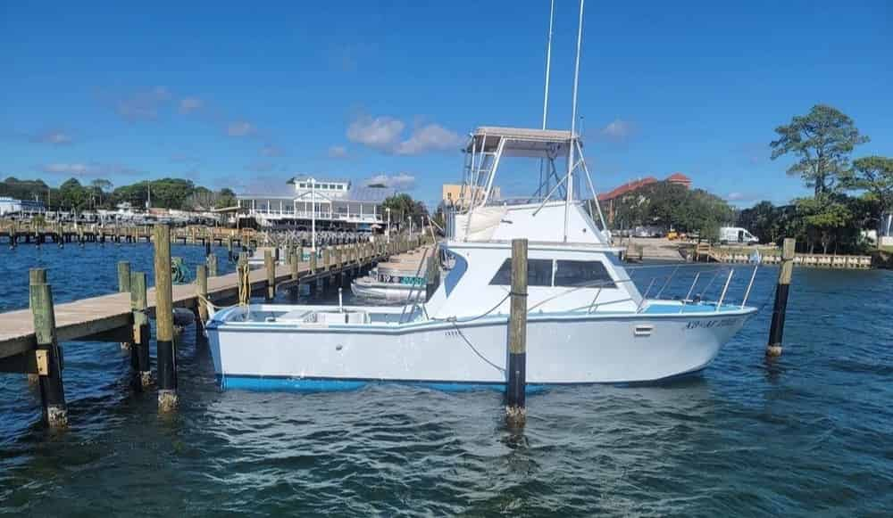 35-Foot-Delta-Sportfisher-Charter