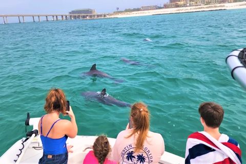 Destin Morning Dolphin Cruise