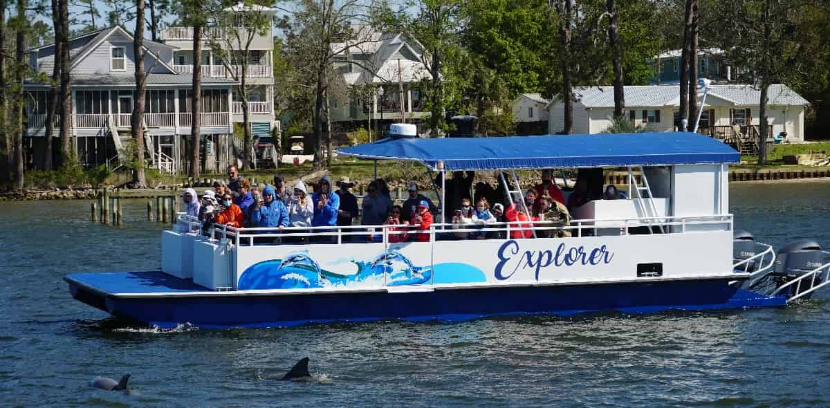 Dolphin-Eco-Cruise-on-The-Explorer-Orange-Beach