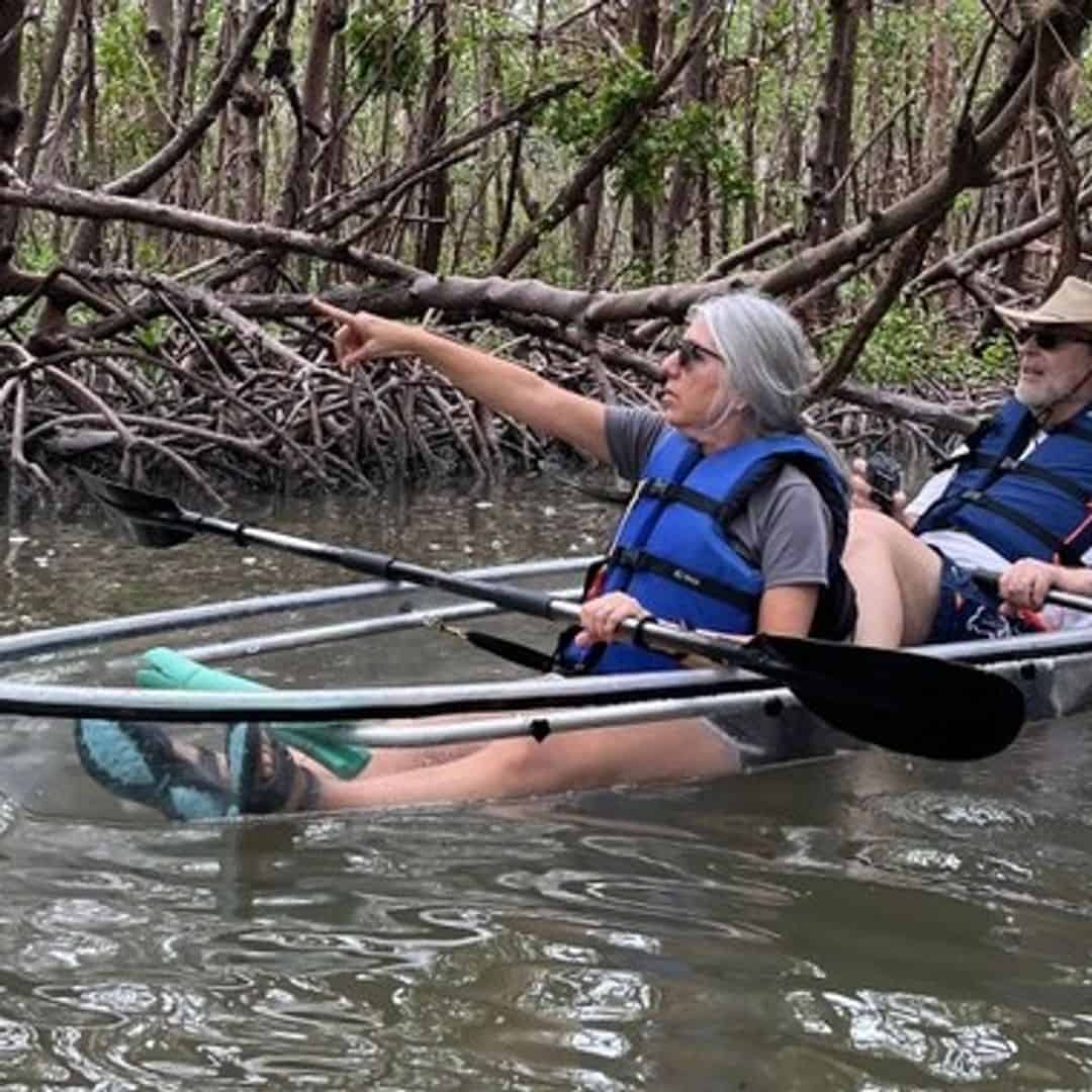 Top 5 Naples Kayak Tours 2024 TripShock!
