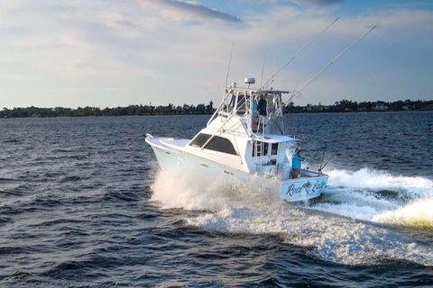 Panama City Beach: Dolphin Tour Aboard the Reel Lady with Complimentary Beer & Wine