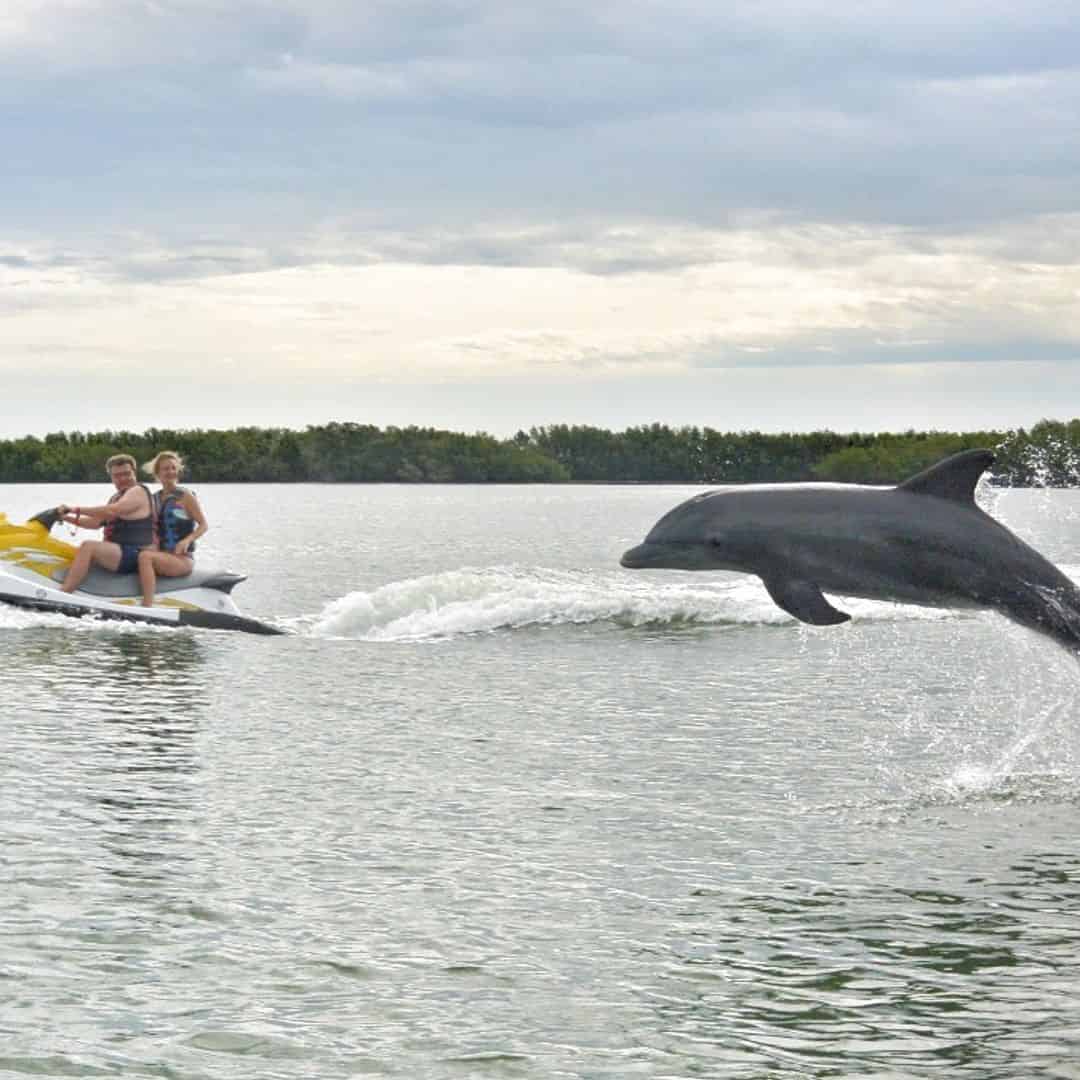 fort myers dolphin tour jet ski