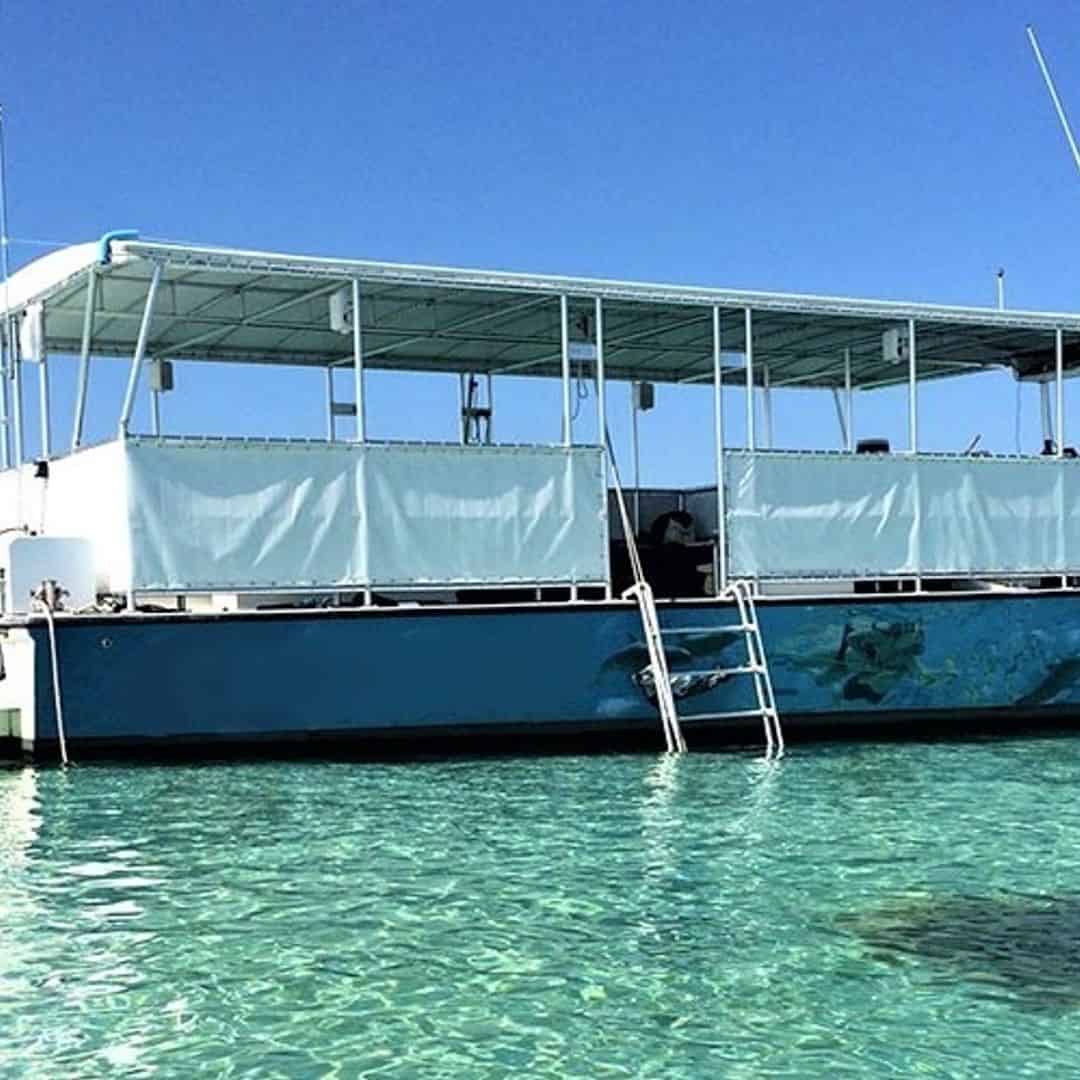 Flipper's Destin Snorkel & Dolphin Cruise TripShock!