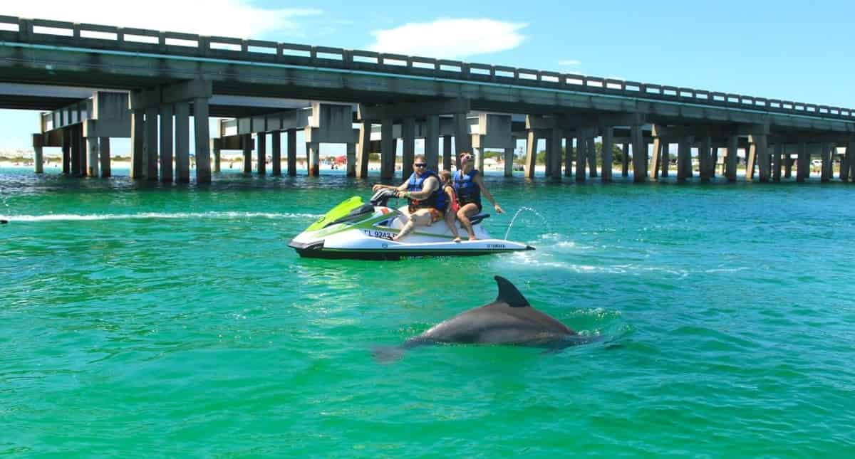 Destin-Dolphin-Excursion-Tour-on-a-Waverunner