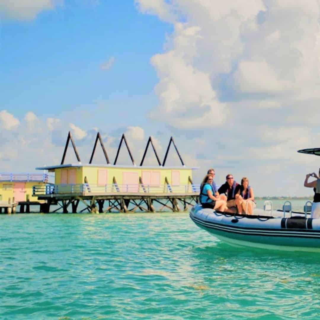 Top Miami Dolphin Cruises & Tours 2024 TripShock!