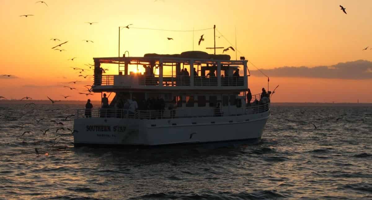 Southern-Star-Sunset-Dolphin-Cruise