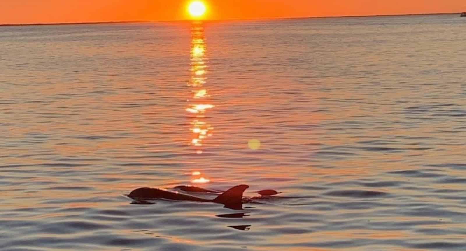 Key-Largo-Florida-Bay-Sunset-Cruise