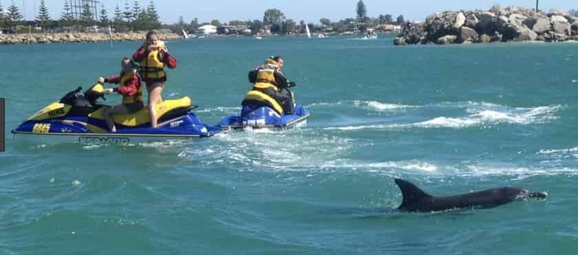 Gilligan-s-Watersports-Waverunner-Dolphin-Tour