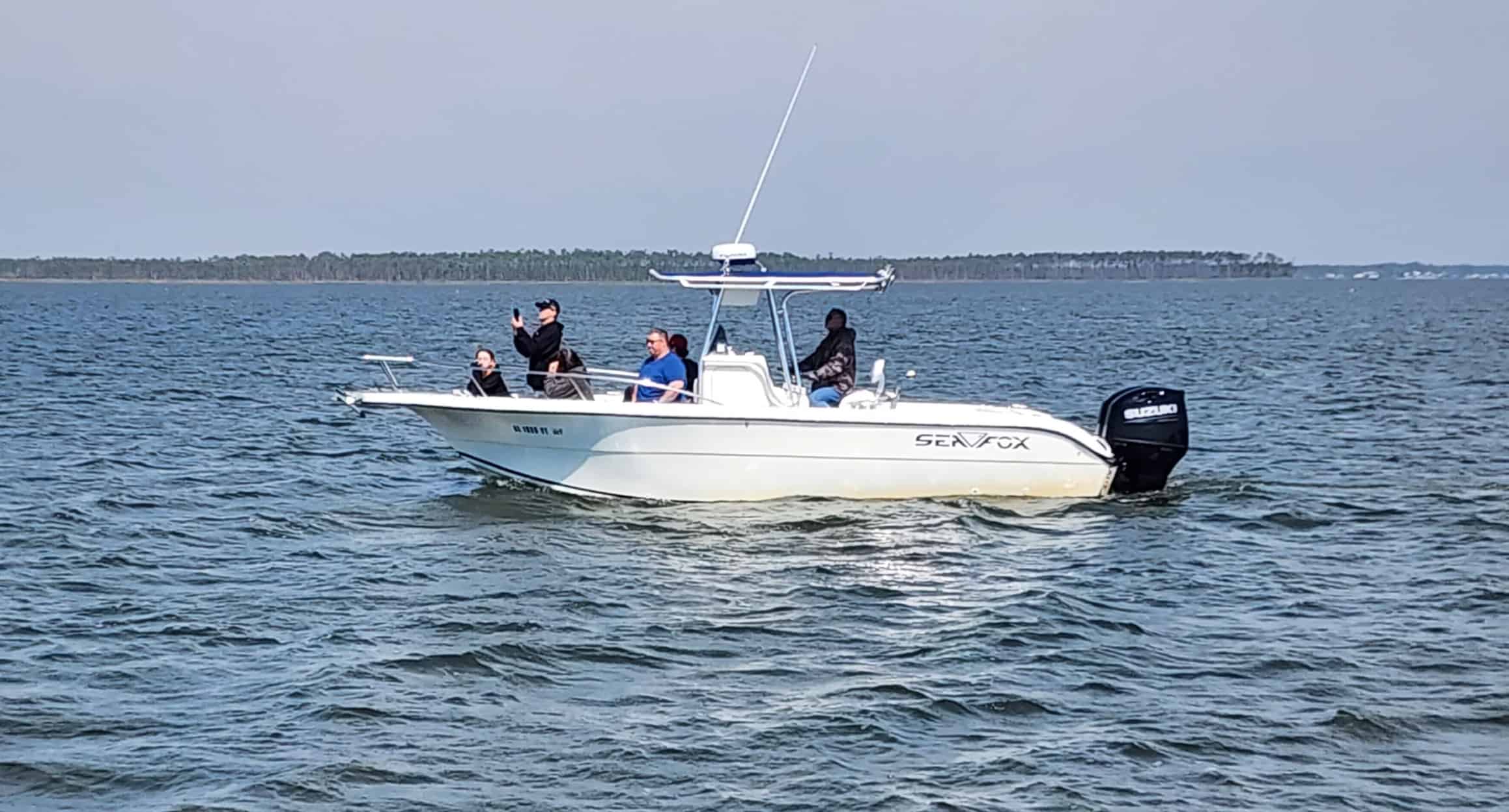 Orange-Beach-Shared-Small-Group-Dolphin-Boat-Cruise