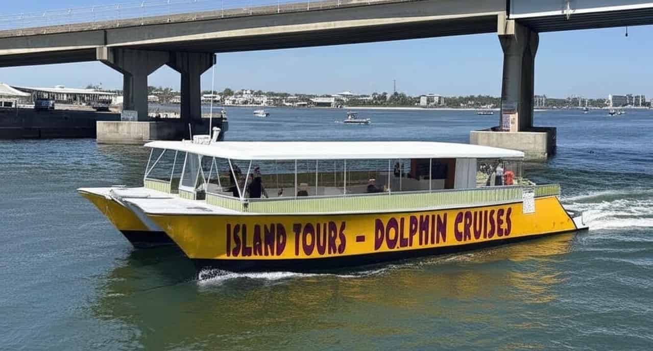 Orange-Beach-Family-Friendly-Dolphin-Cruise