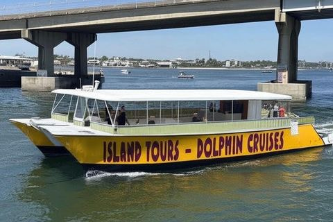 Orange Beach: Family-Friendly Dolphin Cruise