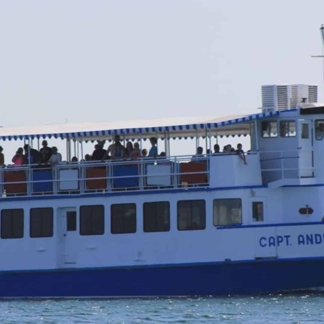 Panama City Beach Dolphin Cruises & Tours