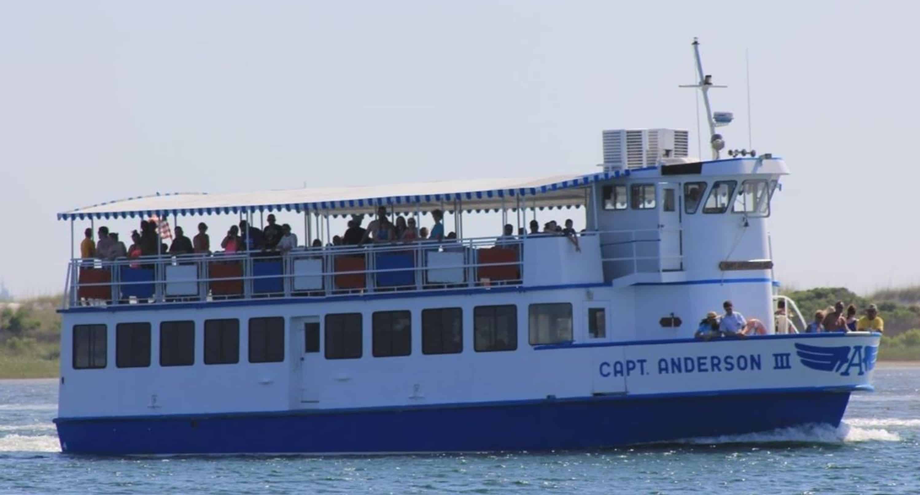 Panama-City-Beach-Morning-Dolphin-Encounter-Cruise-Aboard-The-Captain-Anderson-III