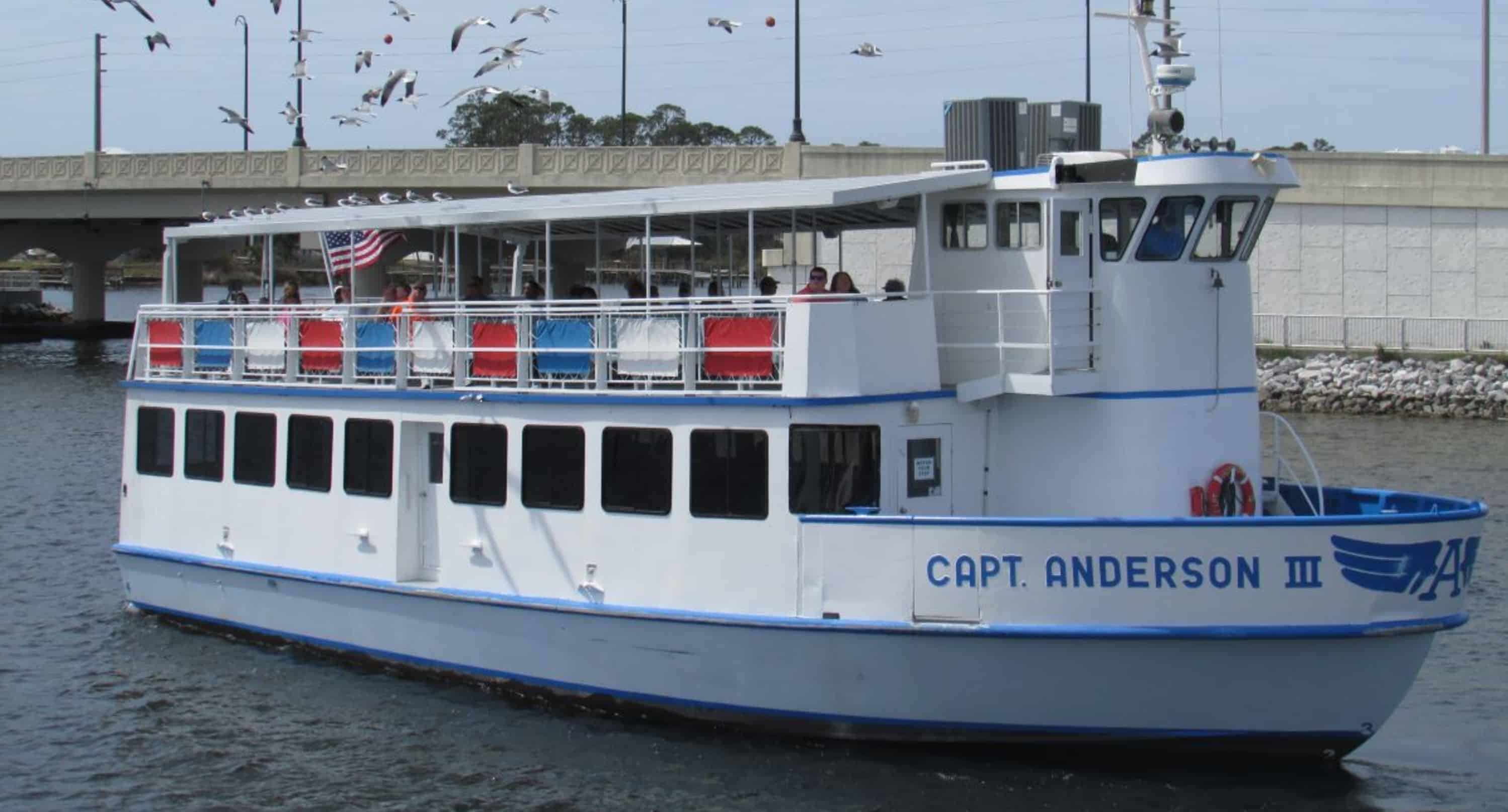 Panama-City-Beach-Early-Bird-Shell-Island-Cruise-With-Dolphin-Encounter