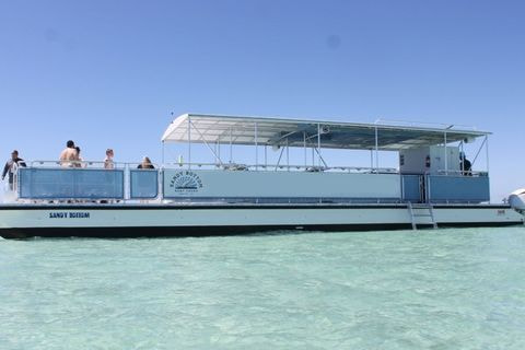 Fort Walton Beach: Sunset Dolphin Cruise