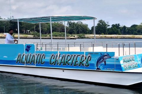 Pensacola Beach: Dolphin Cruise aboard the Island Queen