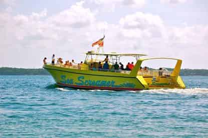 Dolphin Sightseeing Cruise Aboard The Original Sea Screamer