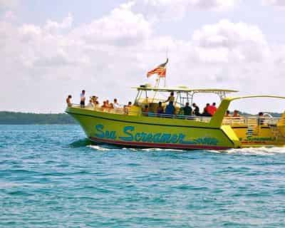 Dolphin Sightseeing Cruise Aboard The Original Sea Screamer