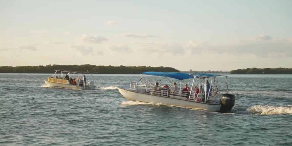 Anna Maria Island Dolphin Tours