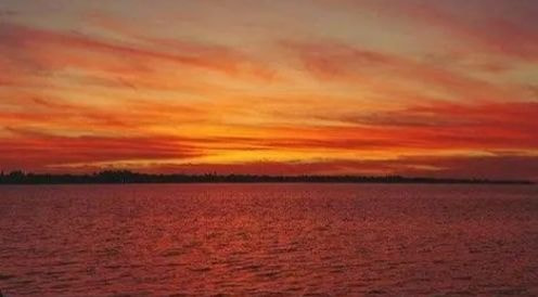 image/webp