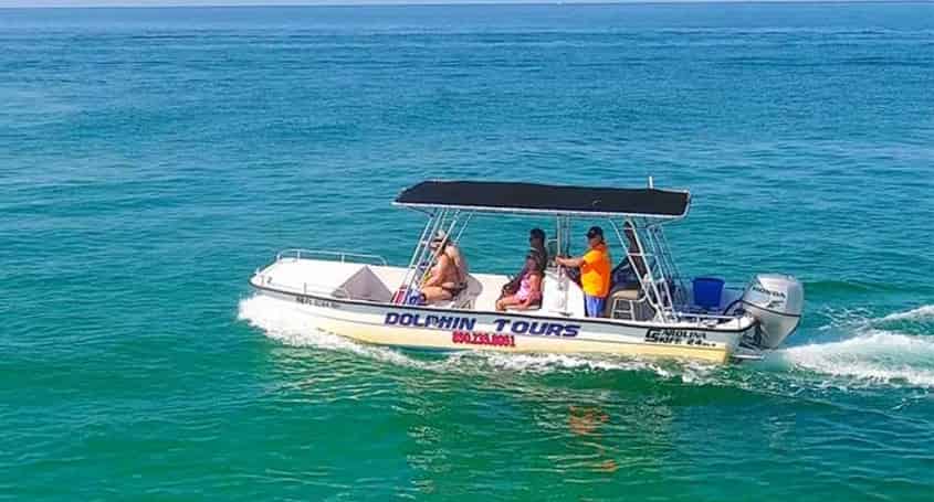 Panama-City-Beach-Private-2-Hour-Dolphin-Tour