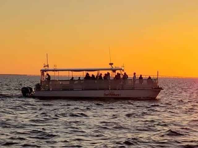 Dolphin & Sunset Cruise Aboard the SunVenture