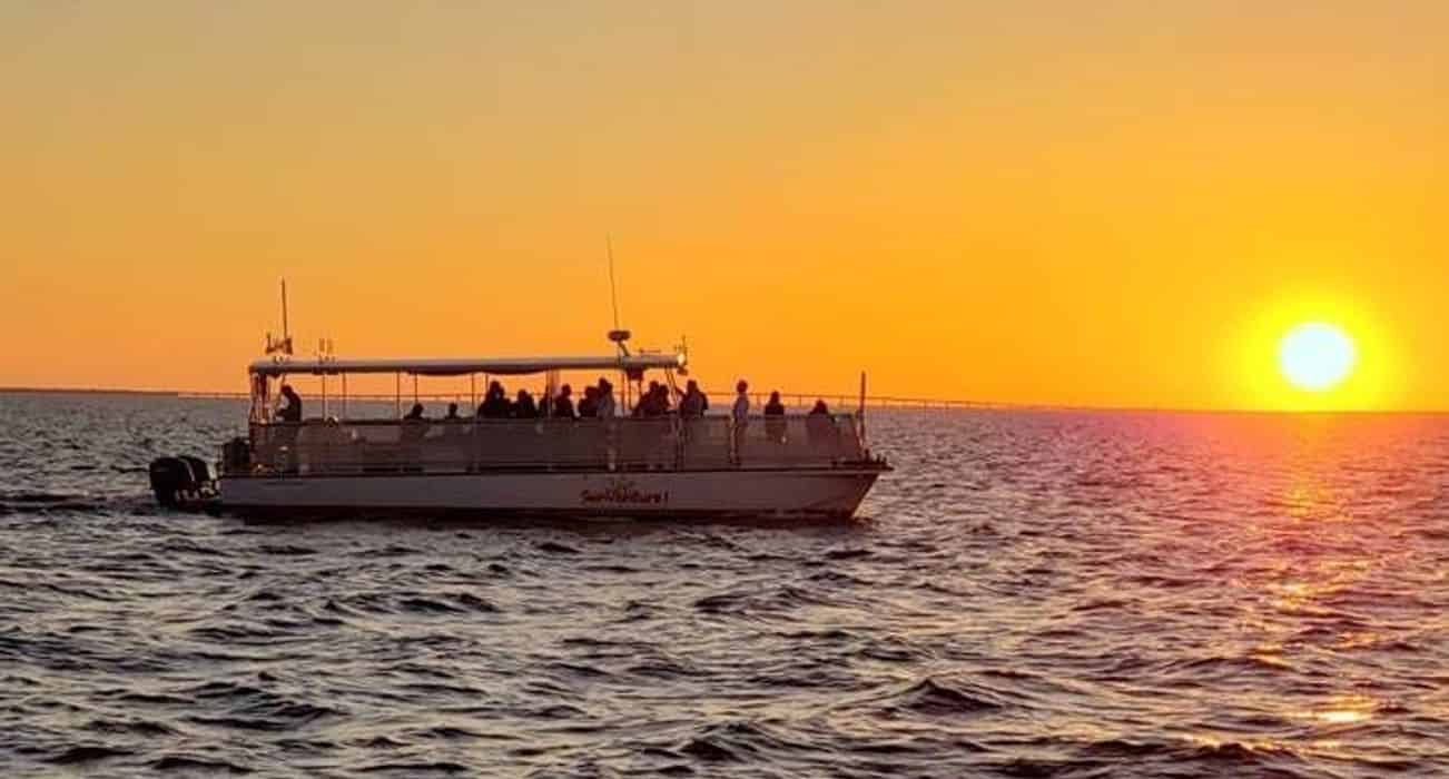 dolphin discovery sunset cruise