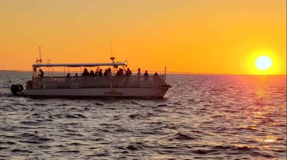 Dolphin-and-Sunset-Cruise-Aboard-the-SunVenture