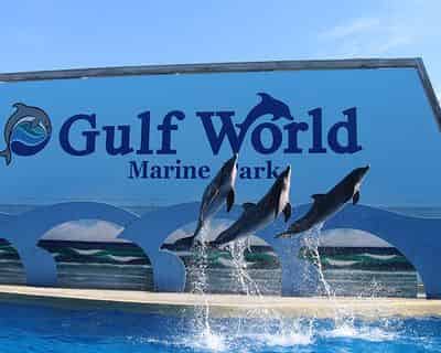 Gulf World Marine Park Tickets