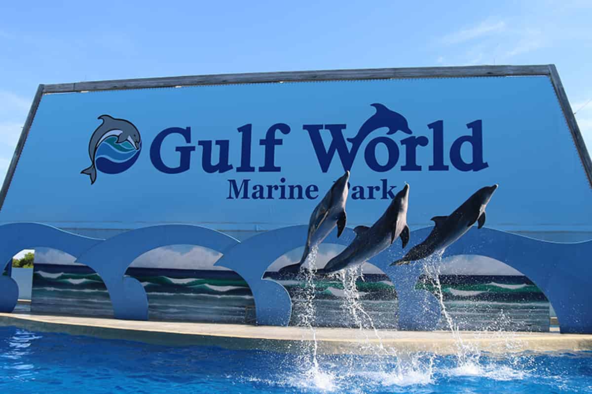 Gulf-World-Marine-Park-Tickets