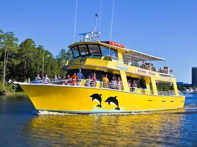 orange beach dolphin cruise for kids